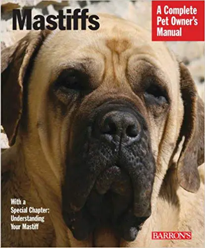 Mastiffs (Complete Pet Owner's Manual)