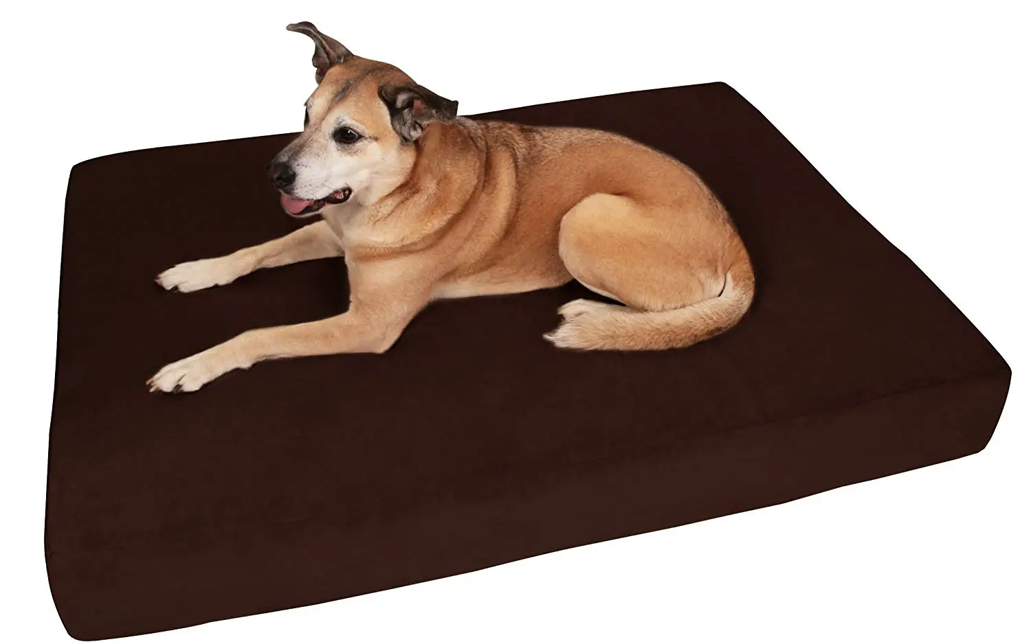 big barker 7 pillow top orthopedic dog bed