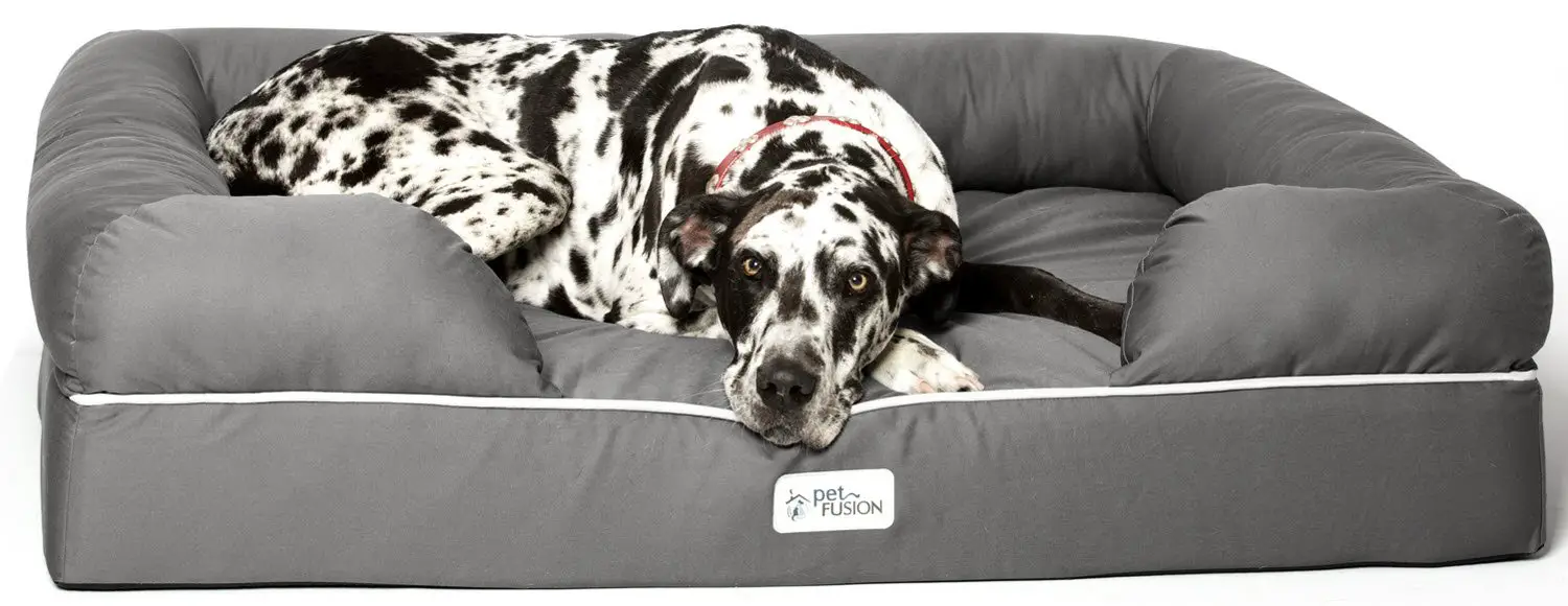 Best Dog Beds for Mastiffs of 2020 Overview of Beds for Large Dogs