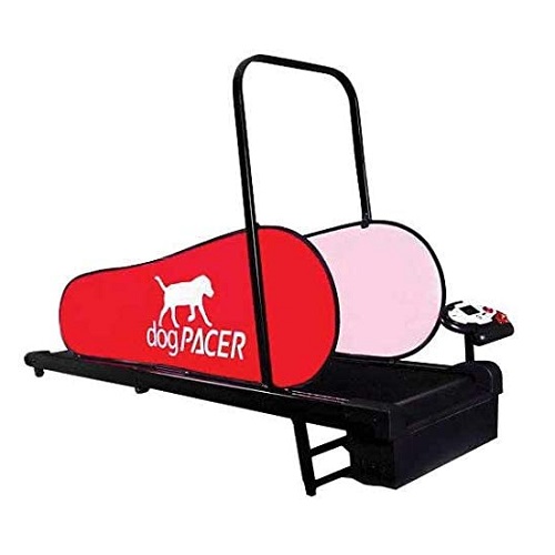 dogPACER LF 3.1