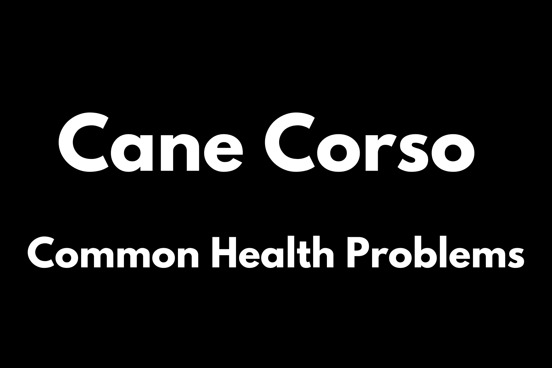 Cane Corso Common Health Problems
