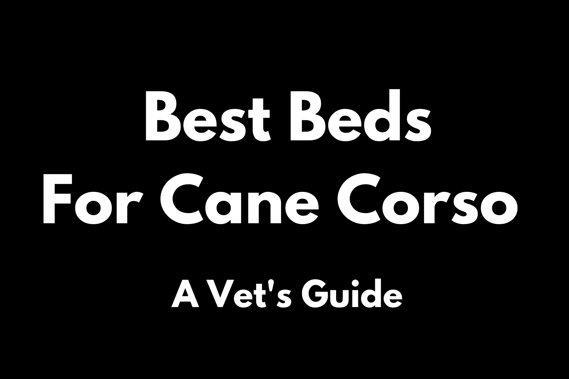 Best beds for cane corso