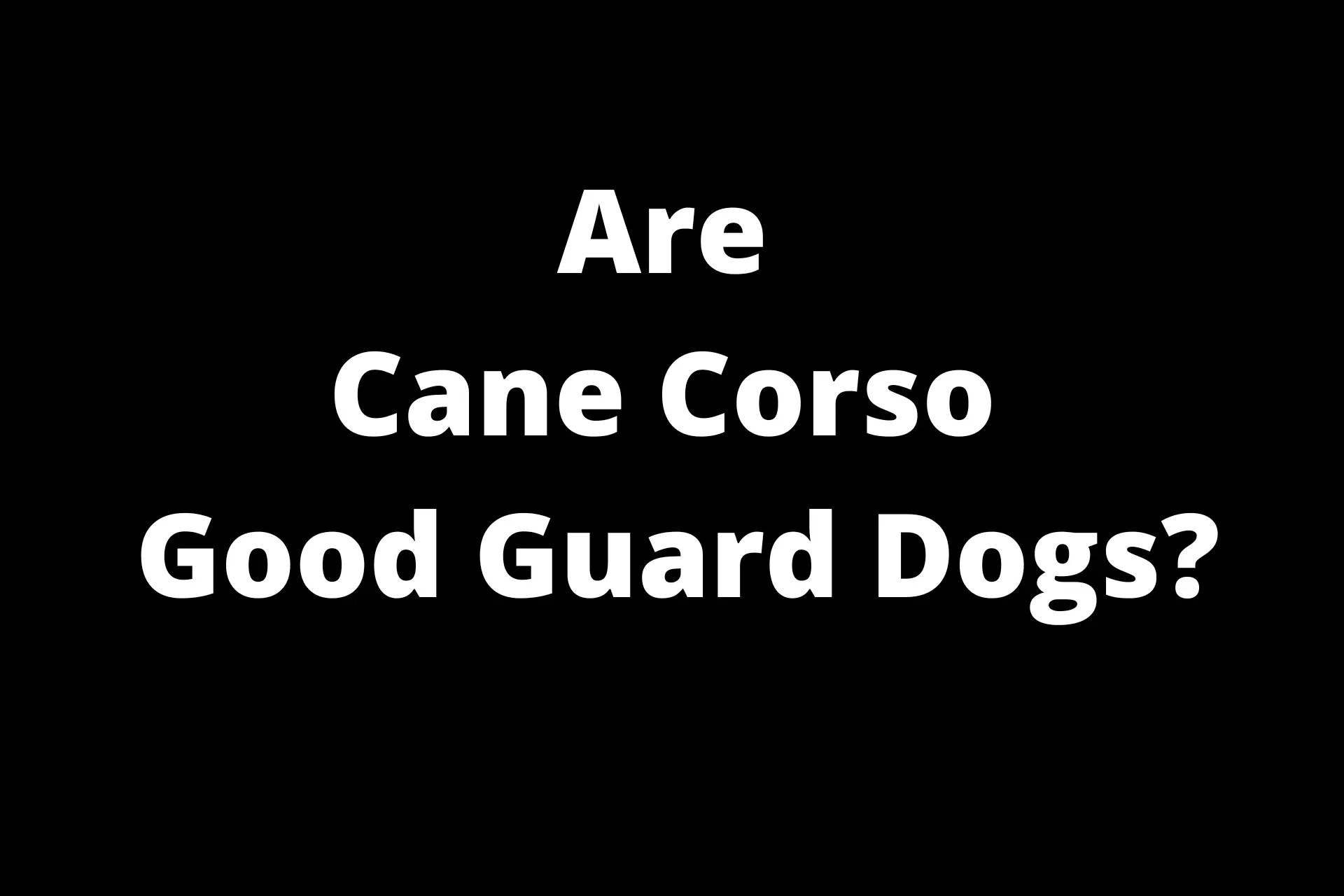 are cane corso good guard dogs