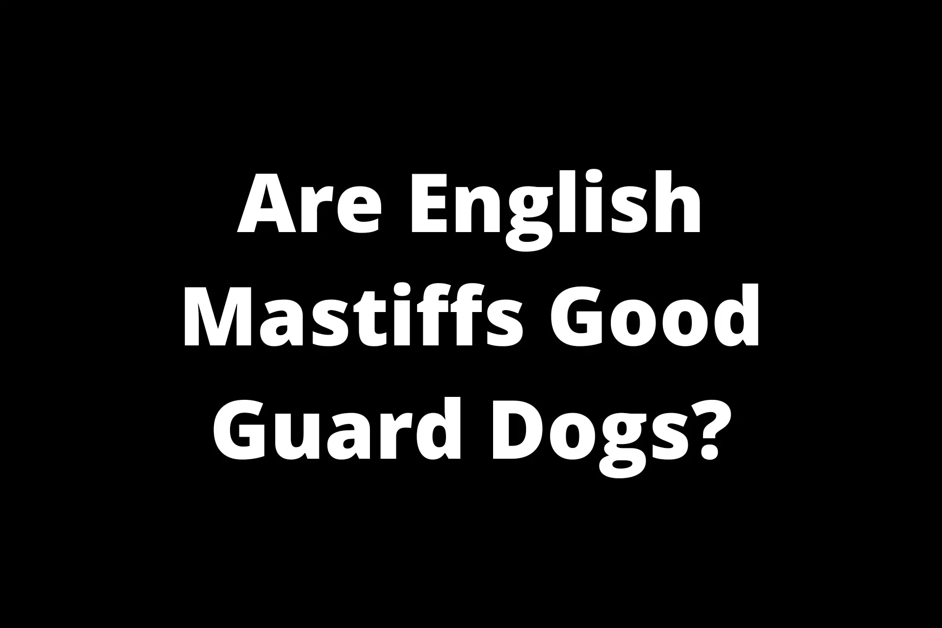 Are English Mastiffs Good Guard And Protection Dogs?