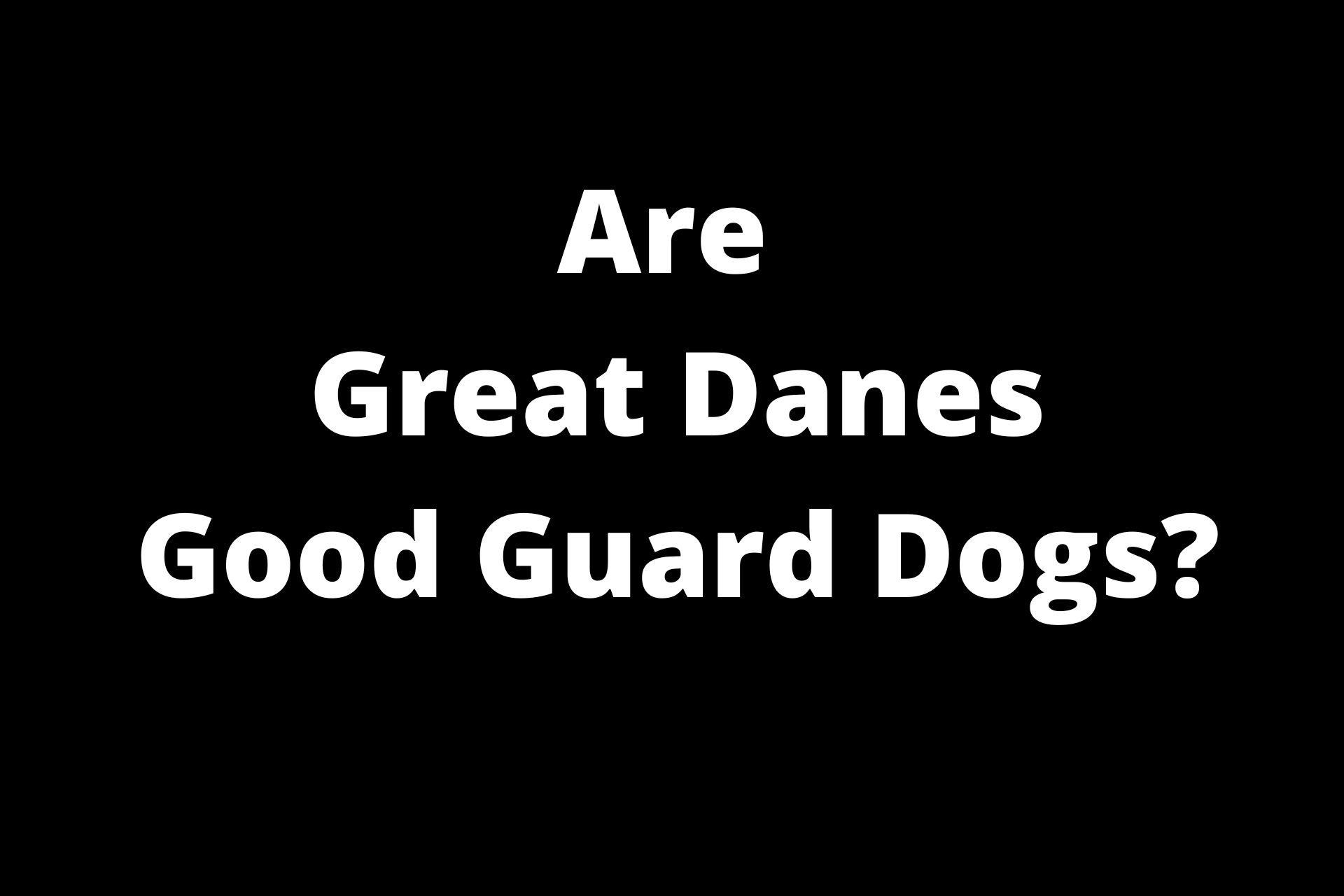 are great dane good guard dogs